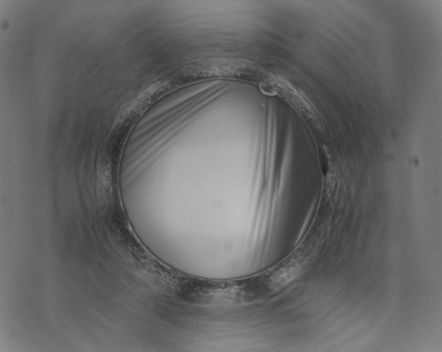 X0000074210306200609081537