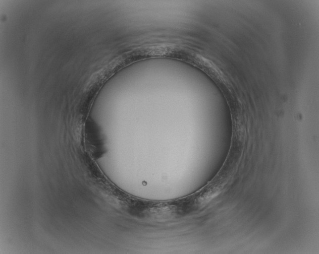 X0000074210307200609081537