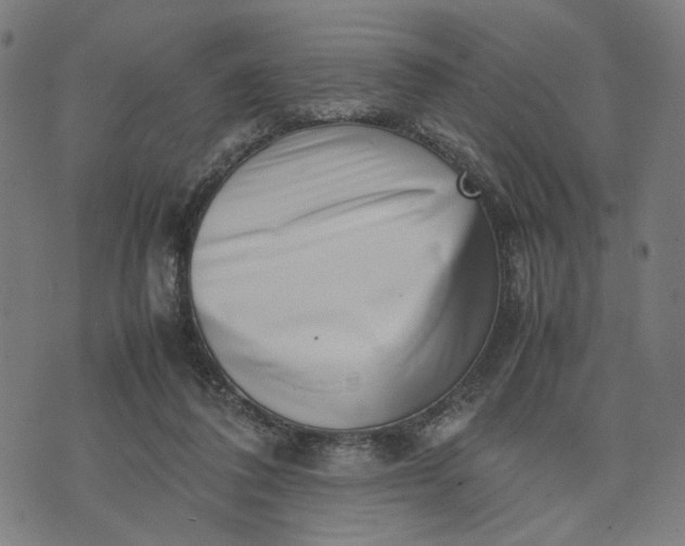 X0000074210308200609081537