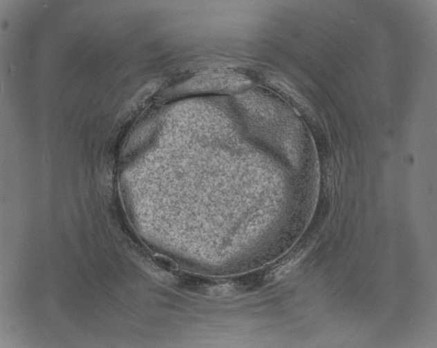 X0000074210309200609081537