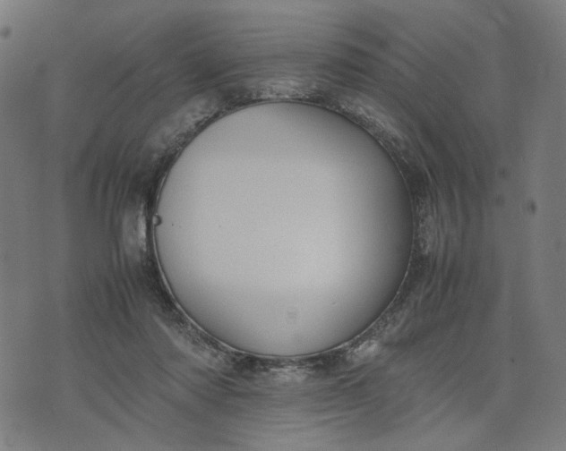 X0000074210310200609081537