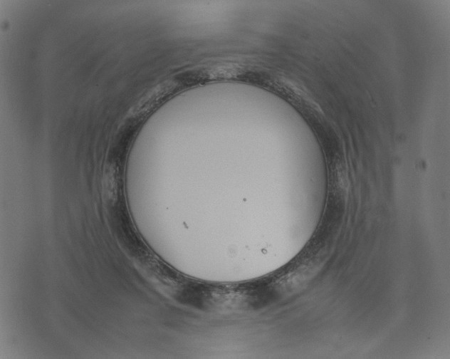 X0000074210311200609081537