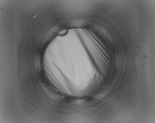 X0000074210312200609081537