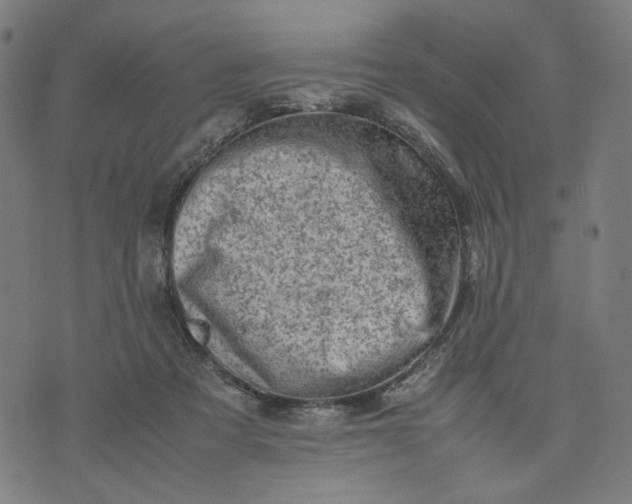 X0000074210313200609081537