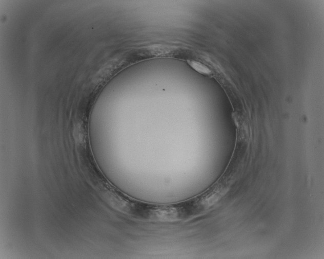 X0000074210317200609081537