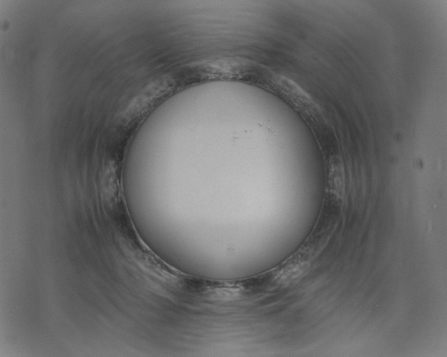 X0000074210318200609081537