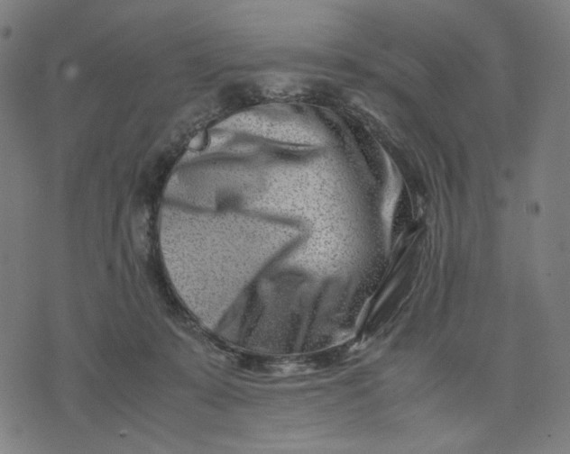 X0000074210319200609081537