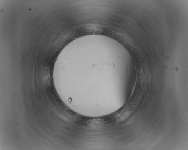 X0000074210320200609081537