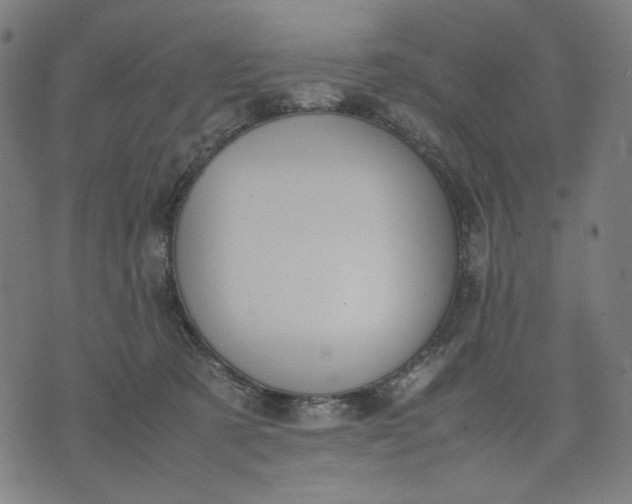 X0000074210321200609081537