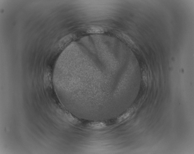 X0000074210322200609081537