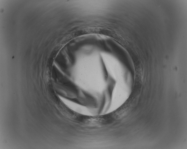 X0000074210323200609081537