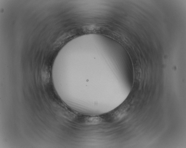 X0000074210324200609081537