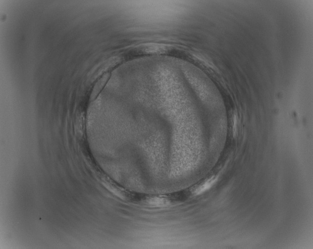 X0000074210325200609081537