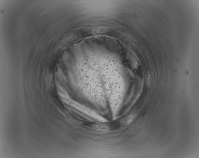 X0000074210327200609081537