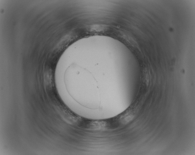 X0000074210328200609081537