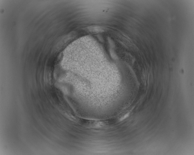 X0000074210330200609081537