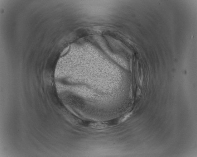 X0000074210331200609081537