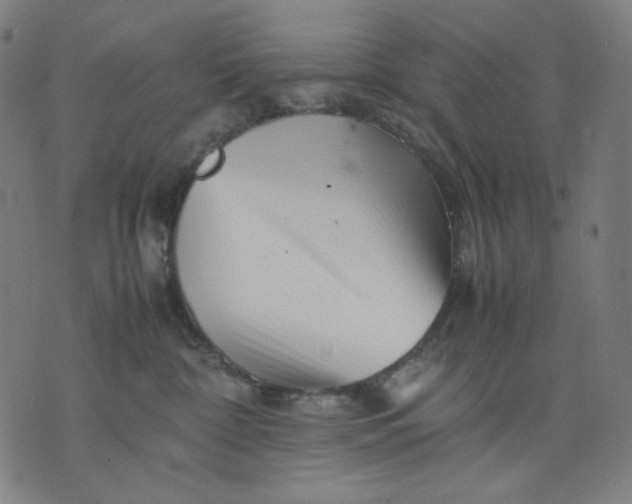 X0000074210332200609081537