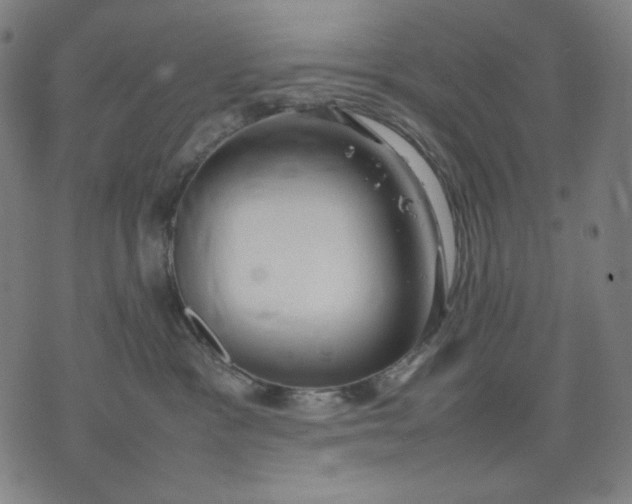 X0000074210333200609081537