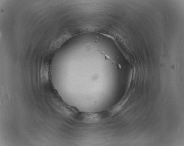 X0000074210334200609081537