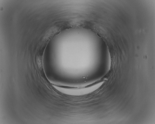 X0000074210335200609081537