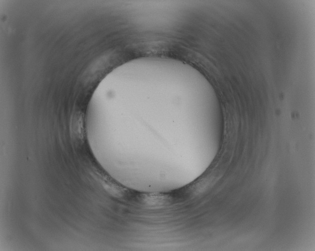 X0000074210336200609081537