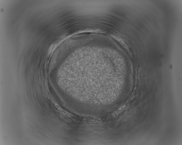 X0000074210337200609081536