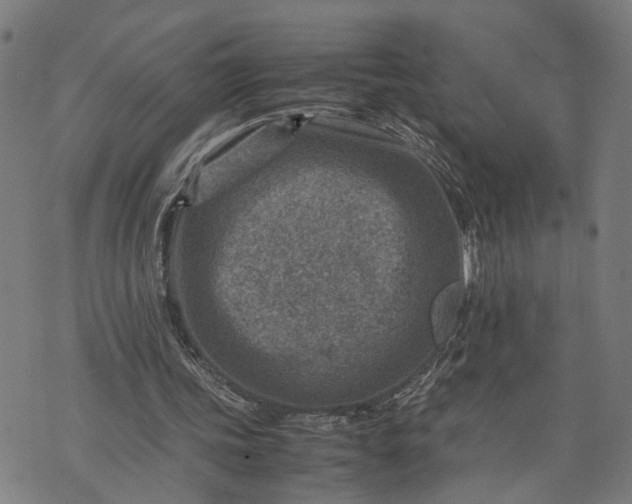 X0000074210339200609081536