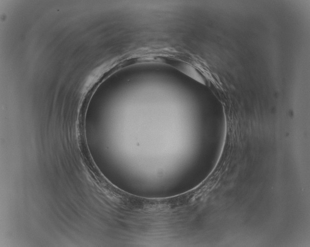 X0000074210340200609081536