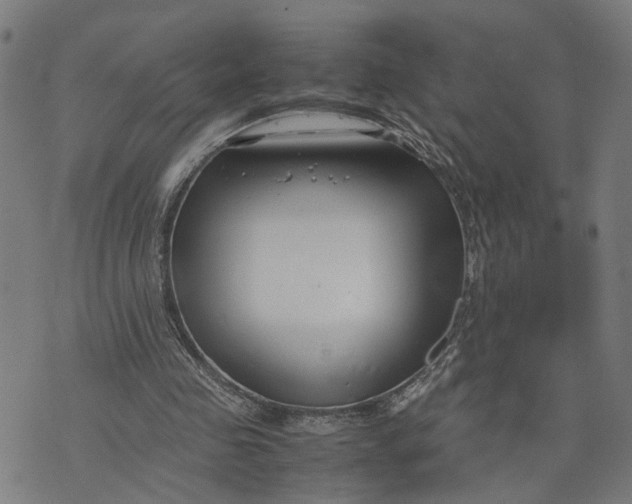 X0000074210341200609081536