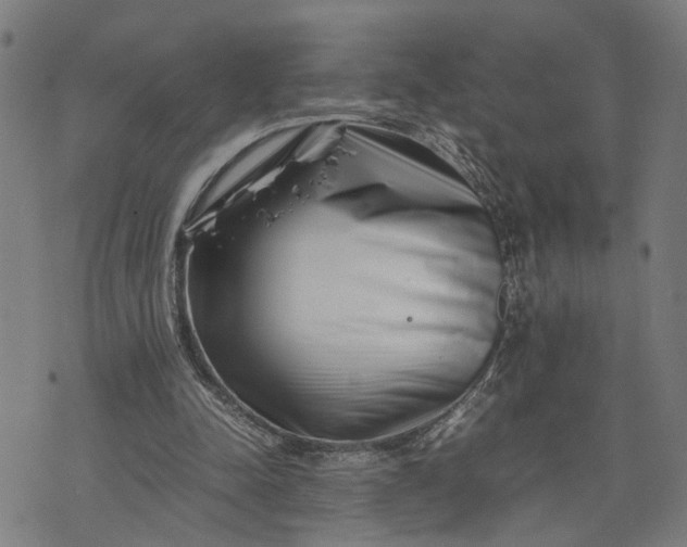 X0000074210342200609081536