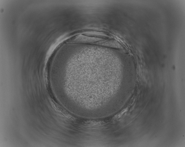 X0000074210343200609081536