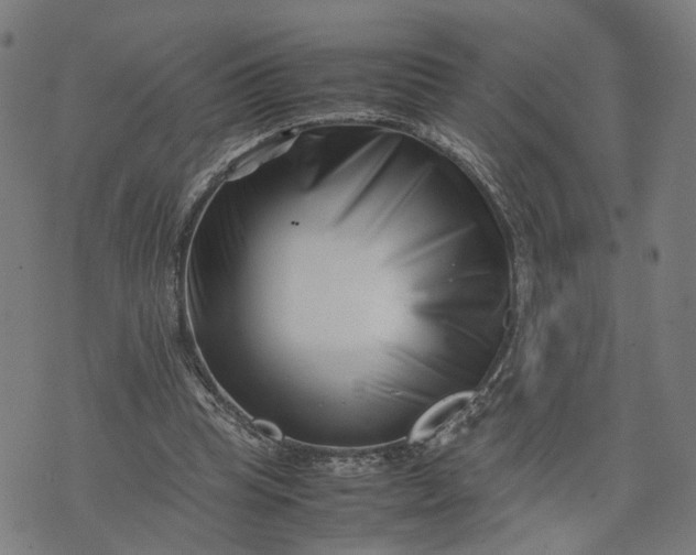 X0000074210345200609081536