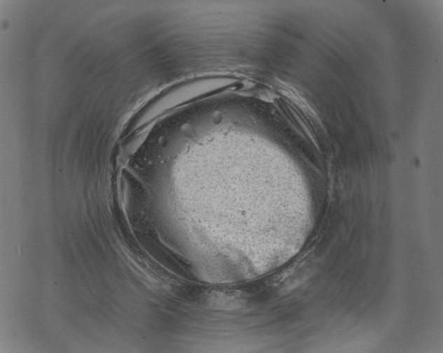 X0000074210346200609081536