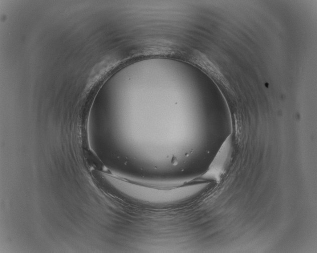 X0000074210348200609081536