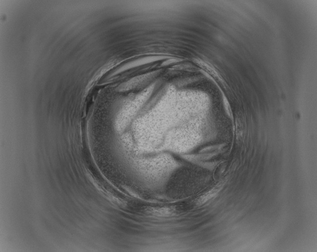 X0000074210349200609081536