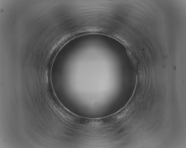 X0000074210350200609081536