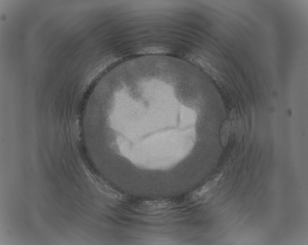 X0000074210351200609081536