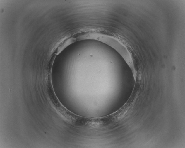 X0000074210352200609081536