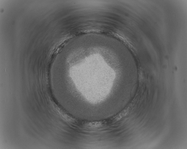 X0000074210353200609081536