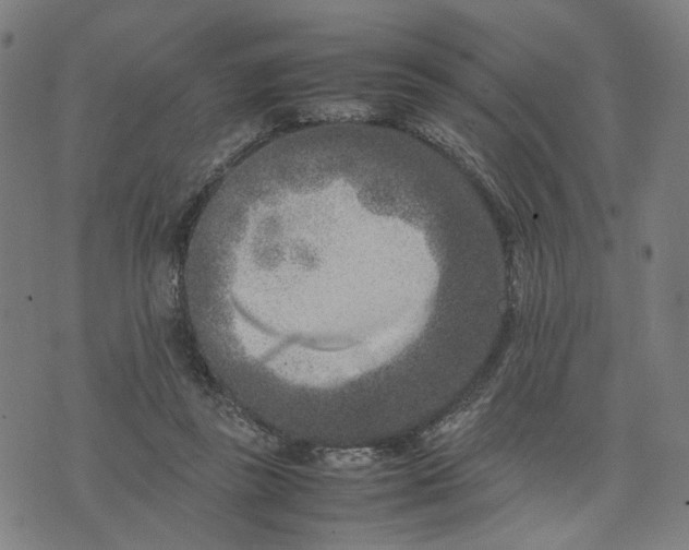 X0000074210355200609081536