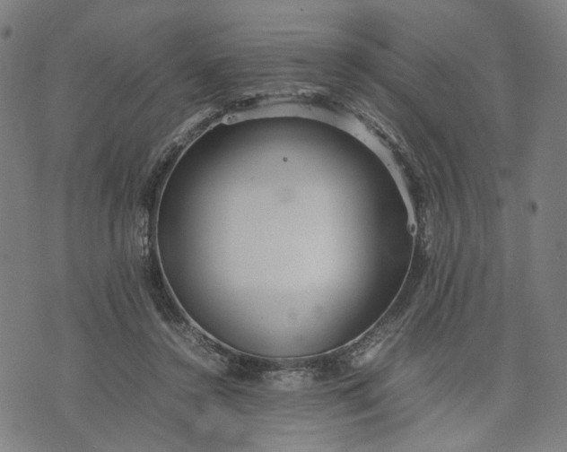 X0000074210356200609081537