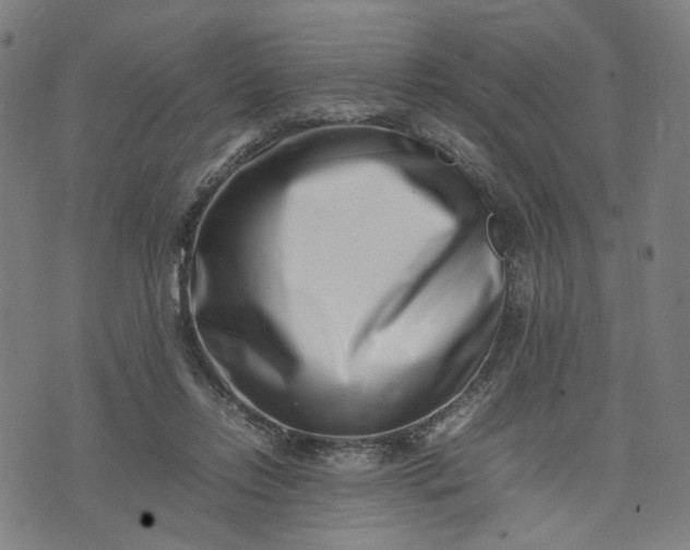 X0000074210358200609081537