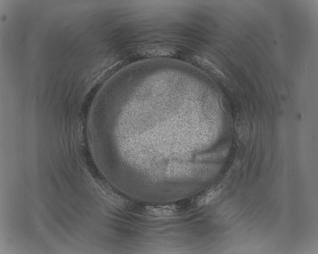 X0000074210359200609081537