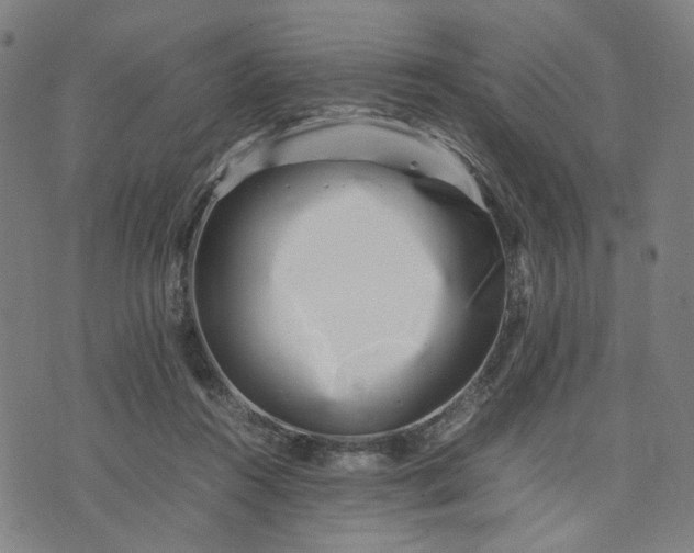 X0000074210360200609081537