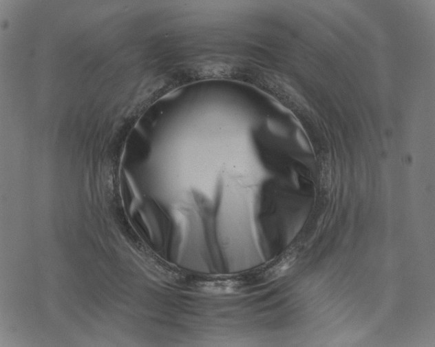 X0000074210363200609081537