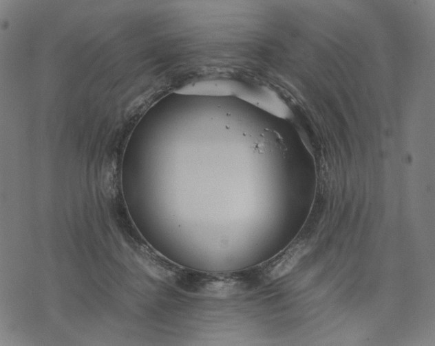 X0000074210364200609081537