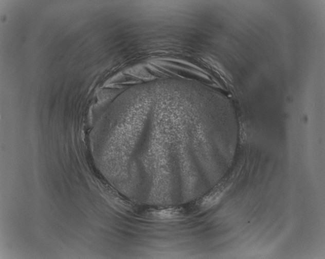 X0000074210365200609081537