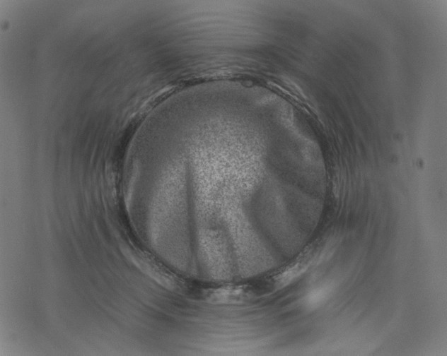 X0000074210366200609081537