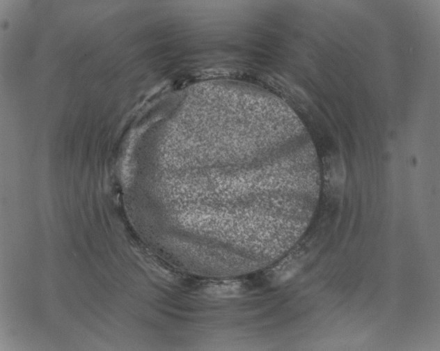 X0000074210369200609081537